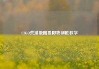 CSGO荒漠地图投掷物制胜教学