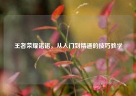 王者荣耀诺诺，从入门到精通的技巧教学