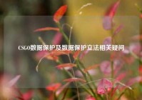 CSGO数据保护及数据保护立法相关疑问