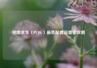 绝地求生（PUBG）最低配置设置全攻略