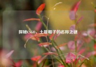 探秘CSGO，土匪帽子的名称之谜