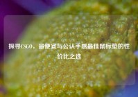 探寻CSGO，最便宜与公认手感最佳鼠标垫的性价比之选