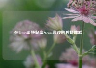 在Linux系统畅享Steam游戏的独特体验