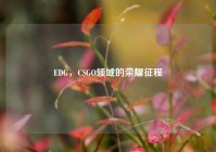 EDG，CSGO领域的荣耀征程