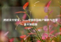 跨越支付壁垒，Steam中国收款账户解析与开发者实操指南