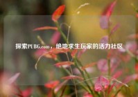 探索PUBG.com，绝地求生玩家的活力社区