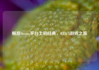 畅游Steam平台上的经典，GTA 5游戏之旅