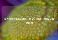 深入剖析CSGO天梯B5，含义、特点、影响及段位对应