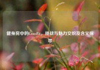 健身房中的CrossFit，挑战与魅力交织及含义探寻