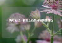玛尔扎哈，符文之地的神秘舞蹈律动