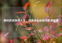 我的逆战游戏人生，热血成长征程与免费观看