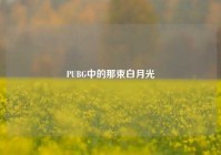 PUBG中的那束白月光
