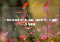王者荣耀帮顶塔终极指南，科学抗伤，化身团队守护神