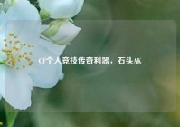 CF个人竞技传奇利器，石头AK