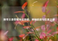 探寻王者荣耀海盗地图，神秘踪迹与位置之谜