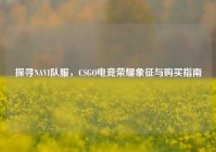 探寻NAVI队服，CSGO电竞荣耀象征与购买指南