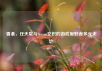 香港，任天堂与Steam交织的游戏爱好者多元天地