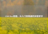 CSGO Dust地图，从入门到精通的深度教学