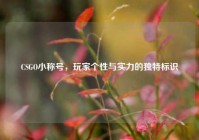 CSGO小称号，玩家个性与实力的独特标识