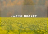 CSGO竞技场上秒炸含义探究