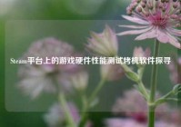 Steam平台上的游戏硬件性能测试烤机软件探寻
