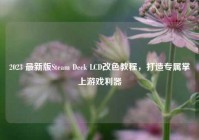 2023 最新版Steam Deck LCD改色教程，打造专属掌上游戏利器