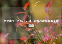 绝地求生（PUBG），提升游戏性能与帧数实用指南