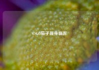 CSGO茄子现身临沂