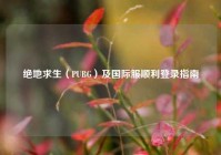 绝地求生（PUBG）及国际服顺利登录指南