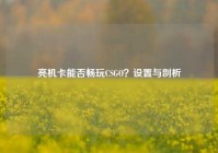 亮机卡能否畅玩CSGO？设置与剖析