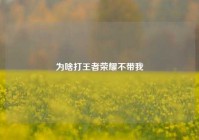 为啥打王者荣耀不带我
