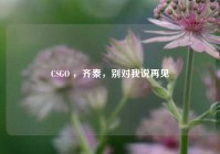 CSGO ，齐秦，别对我说再见