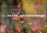 Steam 未定义布局，独特生态中的设计逻辑探究