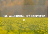 小鸡、PUBG与葡萄糖水，游戏与养殖的多元话题