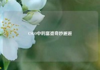 CSGO中的富婆奇妙邂逅