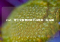CSGO，找回竞技巅峰状态与重新开局指南
