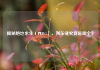 揭秘绝地求生（PUBG），刹车键究竟是哪个？