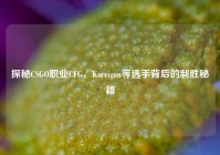 探秘CSGO职业CFG，Karrigan等选手背后的制胜秘籍