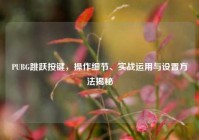 PUBG跳跃按键，操作细节、实战运用与设置方法揭秘