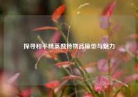 探寻和平精英独特物品原型与魅力