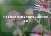 小米手机关闭和平精英录制功能及声音的操作指南
