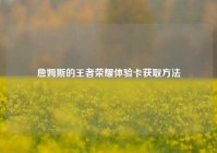 詹姆斯的王者荣耀体验卡获取方法