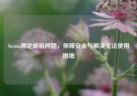 Steam绑定邮箱问题，保障安全与解决无法使用困境