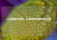 CSGO卖箱子变现，从获取到交易的全攻略