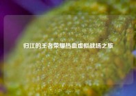 归江的王者荣耀热血虚拟战场之旅