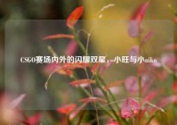 CSGO赛场内外的闪耀双星，小旺与小niko