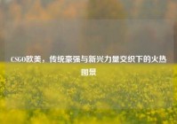 CSGO欧美，传统豪强与新兴力量交织下的火热图景