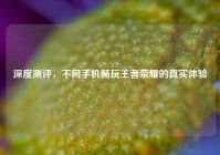 深度测评，不同手机畅玩王者荣耀的真实体验
