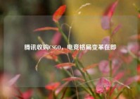腾讯收购CSGO，电竞格局变革在即