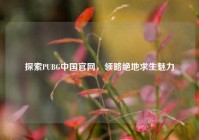 探索PUBG中国官网，领略绝地求生魅力
